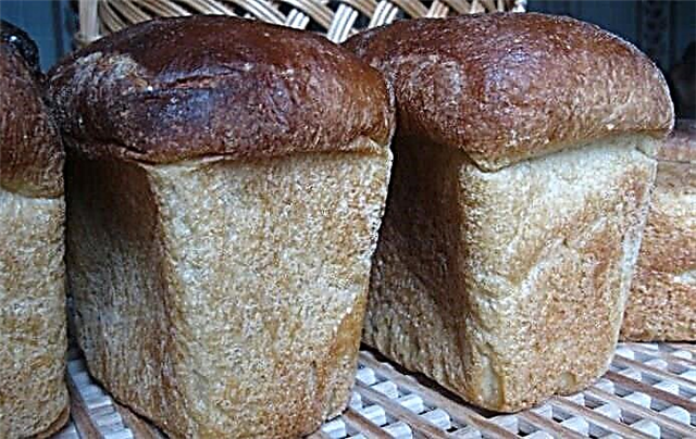 Чихрийн шижинтэй хүмүүст зориулсан талх: талхны машины жор
