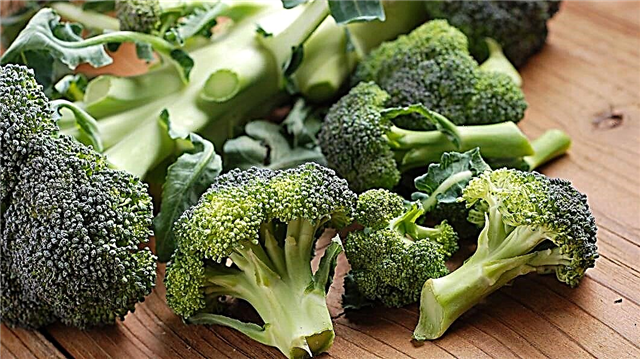 Ṣe Mo le jẹ broccoli ati ori ododo irugbin bi ẹfọ?