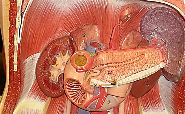 Enzymes ea Pancreatic: Tlhahlobo ea Dijo