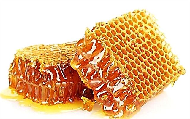 A mund të përdoret mjalti për pankreatitin pankreatik?