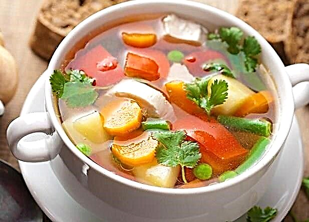 Recepti za dijetalne povrtne supe: zdravo kuhanje
