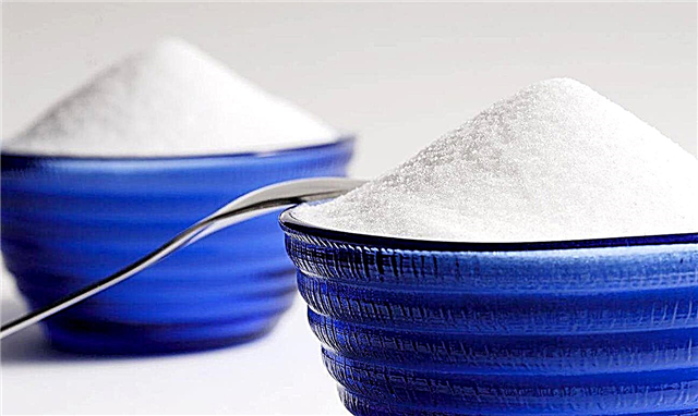 Suplentes de azucre: beneficios e prexuízos dos substitutos do azucre