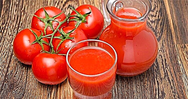 2-toifa diabet uchun pomidor sharbati: mumkin yoki yo'q