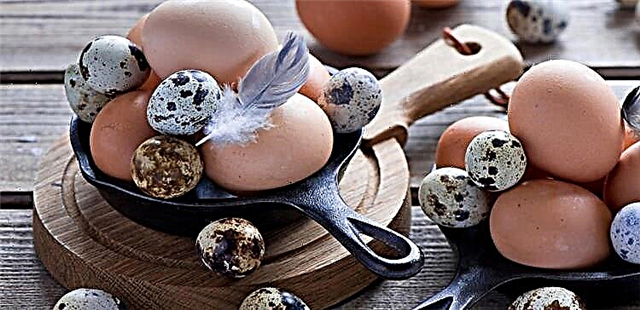 آیا خوردن تخم مرغ با دیابت نوع 2 امکان پذیر است: بلدرچین ، مرغ ، خام