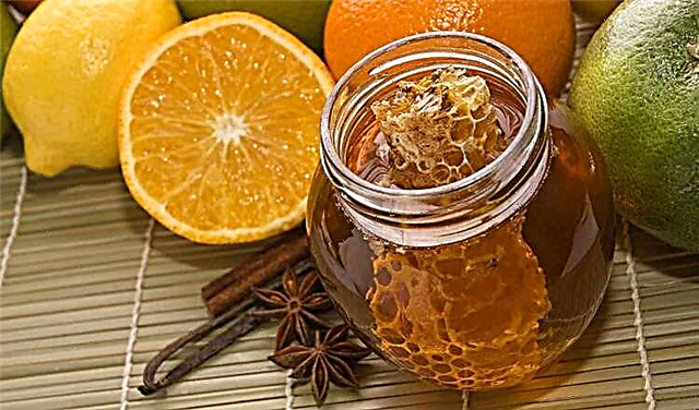 Pinapayagan ba ang honey para sa mga diabetes: ang mga benepisyo, pinsala at pagpili ng honey para sa mga diabetes