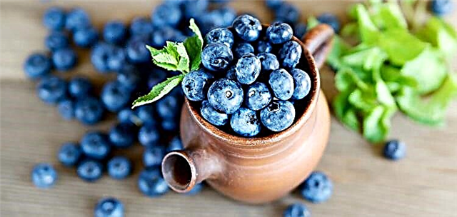 Ama-Blueberries kanye nesifo sikashukela - indlela yokusebenzisa amahlumela namajikijolo ekwelashweni
