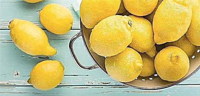 Tip 2 diabetli limon: mümkün və ya olmaması, əks göstərişlər