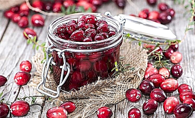 Cranberry nambahan atanapi panurunan tekanan darah?