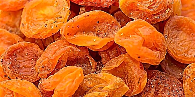 Apricots ស្ងួតនិងជំងឺទឹកនោមផ្អែម: ឱ្យបានច្រើនតាមដែលអាចធ្វើទៅបានហើយពេលណាមិន