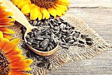 Tsarin sunflower don ciwon sukari - shin zai yiwu a ci kuma a wane adadi?