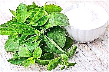 Et herba dulcedo Stevia: et ad beneficia nocet de diabete Mellitus