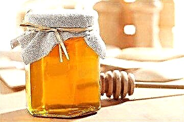 Apa migunani, manis, nanging ora dilarang: apa bisa utawa ora bisa mangan madu kanggo diabetes jinis 1 lan 2?