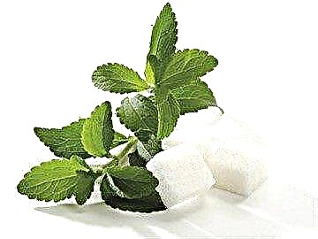 Stevia bilan tatlandırıcı qancha turadi - dorixonalardagi narxlar