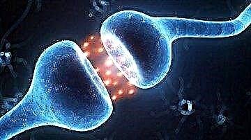 নির্দিষ্ট স্নায়ু ক্ষতি, এটি ডায়াবেটিক নিউরোপ্যাথি: লক্ষণ এবং চিকিত্সা পদ্ধতি