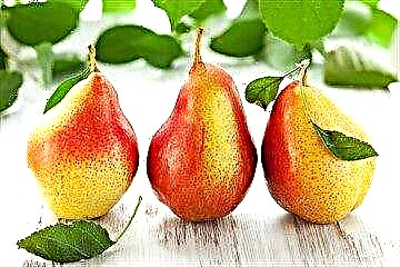 Kula pears kwa ugonjwa wa sukari - inawezekana au la?