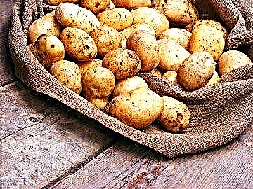 Mupangat lan cilaka kentang ing diabetes: indeks glisemik lan aturan masak