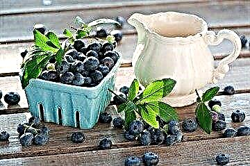 Berry tare da babban damar warkewa: blueberries da amfanin amfani dashi a cikin ciwon sukari