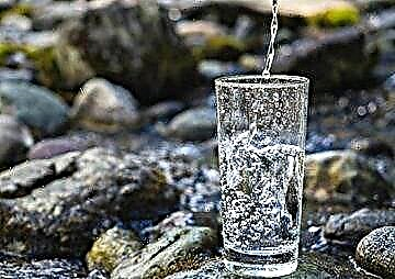کیا پینا - ذیابیطس کے لئے پانی اور مشروبات: معدنی پانی اور پینے کی دوسری قسمیں