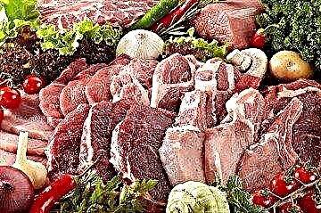 Месо и производи од месо за дијабетичари: гликемиски индекс и стандарди за потрошувачка