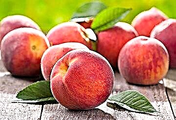 Kann Peaches fir Diabetis - wéi benotzt se korrekt fir net ze schueden?