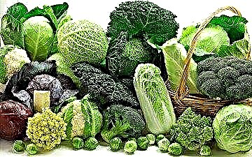 Needkwesịrị ịma: enwere ike ịrịa ọrịa shuga iri sauerkraut, kọlịflawa, oké osimiri, kabeeji na-acha ọcha na broccoli?
