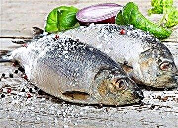 Naha mungkin atanapi henteu tuang herring pikeun jinis 1 sareng jinis 2?