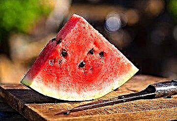 A yw'n suddiog, melys, ond iach: watermelon, ei fynegai glycemig a'i normau ar gyfer diabetes