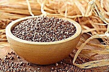 ဆီးချိုရောဂါနှင့်ယင်း၏ပြcomplနာများအတွက် buckwheat: စီရီရယ်၏အညွှန်းကိန်းနှင့်၎င်းကိုအသုံးပြုခြင်း၏စံနှုန်းများ