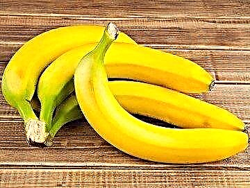 Чунин бананҳои лазиз ва серғизо: оё бо навъи 1 ва навъи 2 диабети қанд, индекси гликемикӣ ва калориянокии мева хӯрдан мумкин аст?