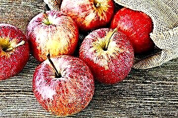 Da li su jabuke dobre za dijabetes i mogu li se jesti?