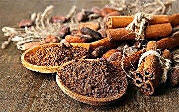 Cinnamon: zothandiza katundu ndi contraindication a shuga, maphikidwe ochepetsa shuga wamagazi ndi kuwunika