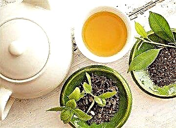 Hoe nuttig is groen tee vir diabete en hoe om dit te brou?
