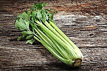 Celery nglawan diabetes: sifat-sifat penyembuhan lan resep sehat