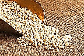 Barley sa diabetes mellitus type 2: mga pakinabang at nakakapinsala, kaugalian ng paggamit at kasalukuyang mga recipe