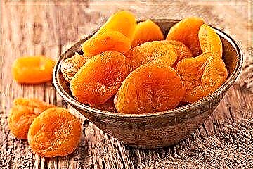 Sababaraha potongan moal ngarugikeun: aprikot garing sareng diabetes sareng tingkat poean panggunaan na