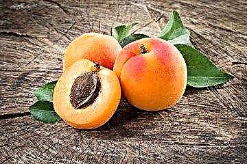 ຜົນປະໂຫຍດແລະອັດຕາການໃຊ້ຢາ apricots ໃນໂລກເບົາຫວານ