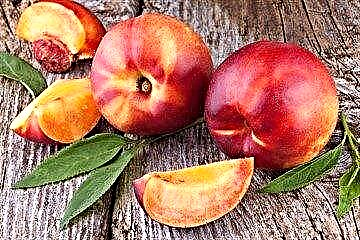Apricus nectarines, et nocet ad beneficia de diabete, quod caloric glycemic index