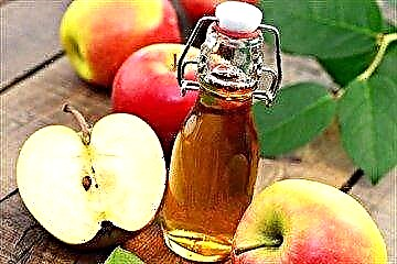 Apple cider vinegar: o aoga ma leaga o le maʻi suka