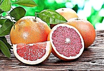 Грейпфрут: фоидаҳо ва зарари диабети қанд, тавсияҳои диетологҳо оид ба истифодаи мева