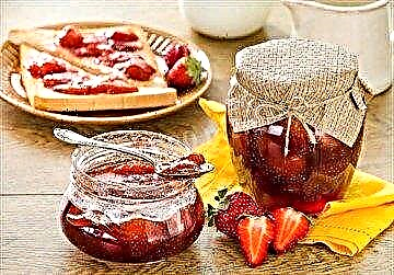 Sugar-free jam para sa mga diabetes: ano ang paggamit ng natural jam at kung paano lutuin ito?