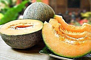 Os pros e os contras de comer melón para os dous tipos de diabetes