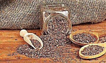 Laneno seme: koristi i štete od dijabetesa