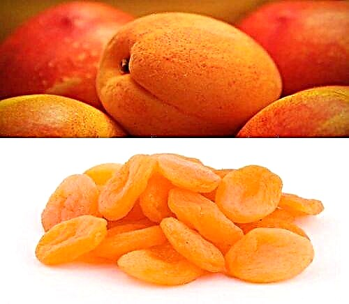 Ma apricots owuma omwe ali ndi matenda ashuga