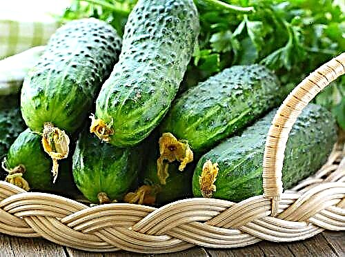 Cucumbers maka ọrịa shuga