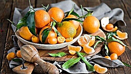 Posible bang kumain ng mga tangerines sa diyabetis
