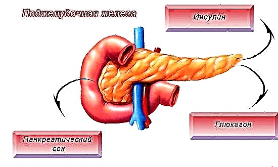 Funkcija pankreasa