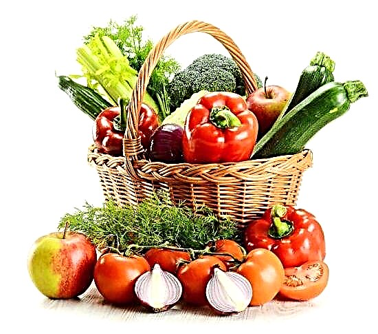 Vegetables û fêkiyên ji bo pancreatitis