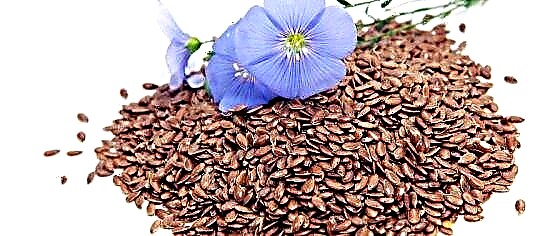 Como tratar o páncreas con sementes de liño