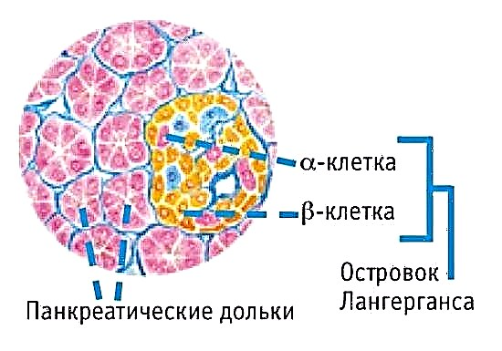 Ama-pancreatic mahormone