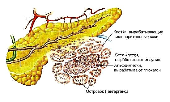 Pankreako zukua